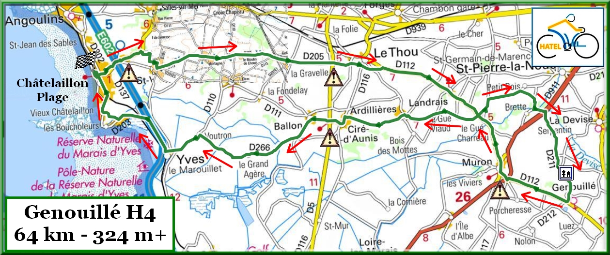 Genouille H4